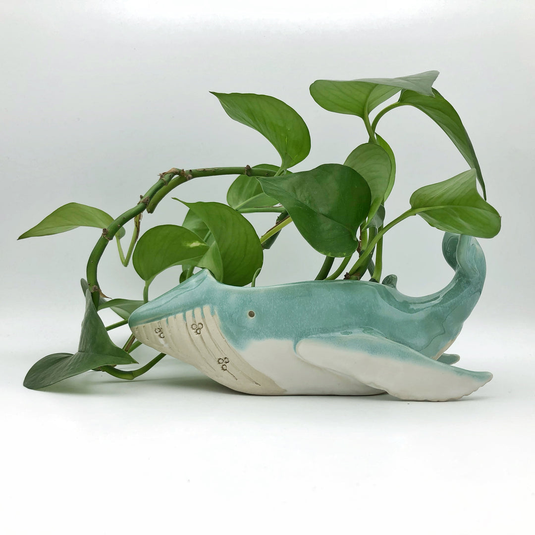 Whale Planter