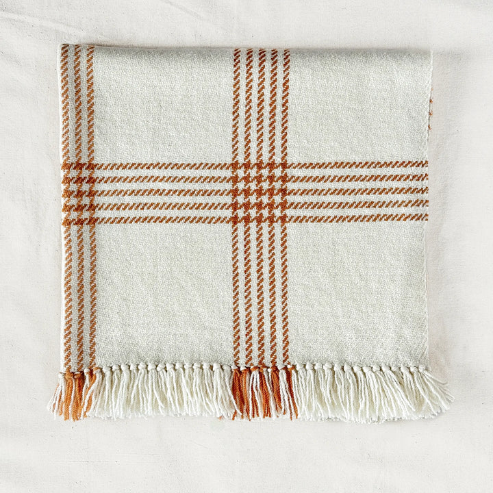 Parkland Ombre Check Blanket Throw